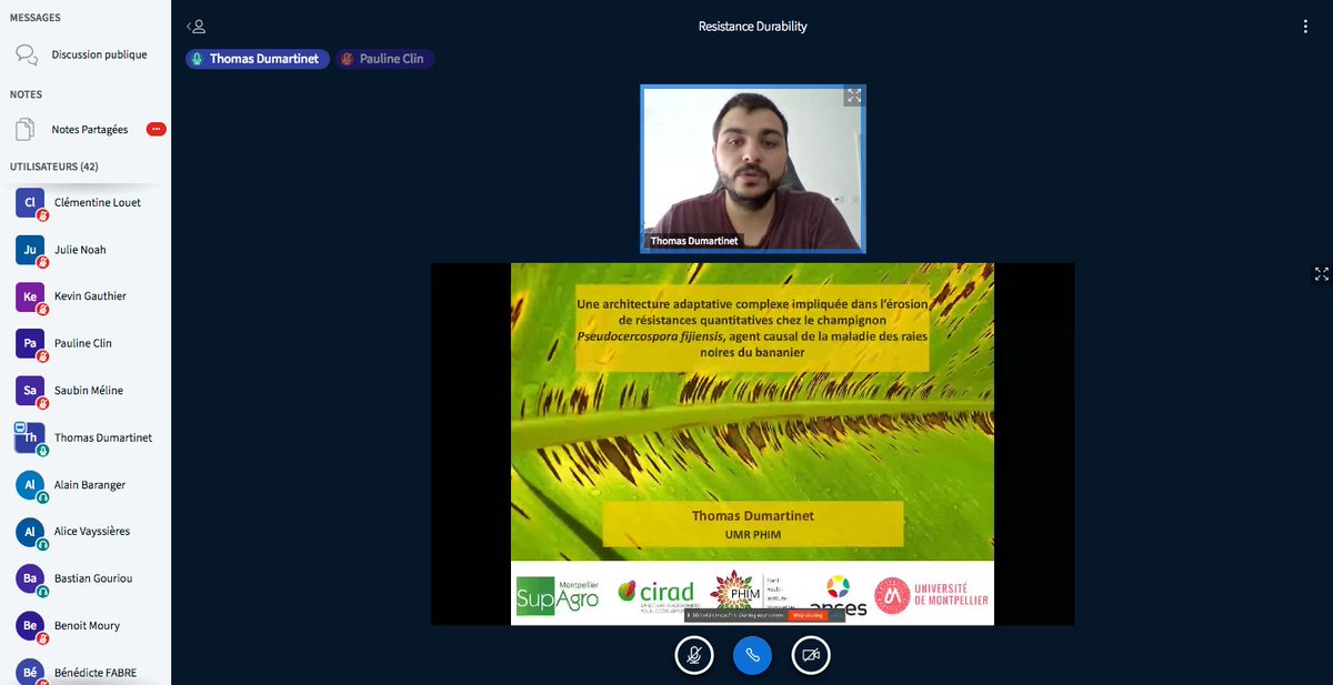 UMR_IAM's tweet photo. #ResistanceDurability webinar: Thomas Dumartinet (@TDumartinet @PHIM_research) on erosion of #quantitative #resistance in #Pseudocercospora fijiensis, the causal agent of black leaf streak disease of #banana https://t.co/Rev70OmHQl