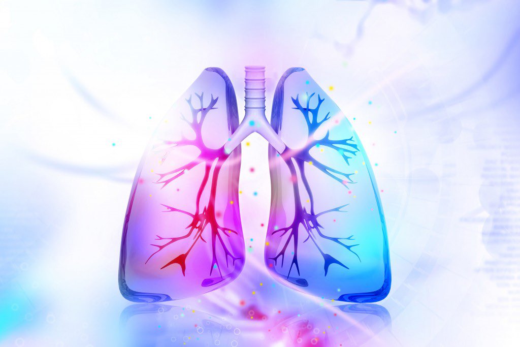 AvidityCare's tweet photo. This week is #LoveYourLungsWeek ๐ซ
There is no better time to make sure your lungs are in good health, than today! โ๏ธ
Check out the British Lung Foundation website for more details https://t.co/pGwksSnQuJ
#LoveYourLungs #LungHealth #AvidityCare #Staines #Surrey https://t.co/jMYglXGz2f
