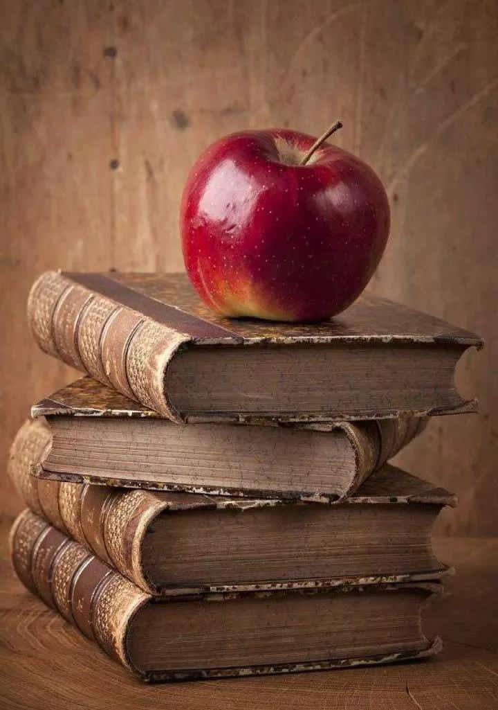 Hijjabi_'s tweet photo. _عورت کی لمبی زبان کا شکوہ سبھی کرتے ہیں،_
_لیکن گونگی عورت سے شادی کوئی نہیں کرتا 🌹♥️🌹_
#نمود_عشق
#TGP_Alpha https://t.co/cQ00wLmv0Y