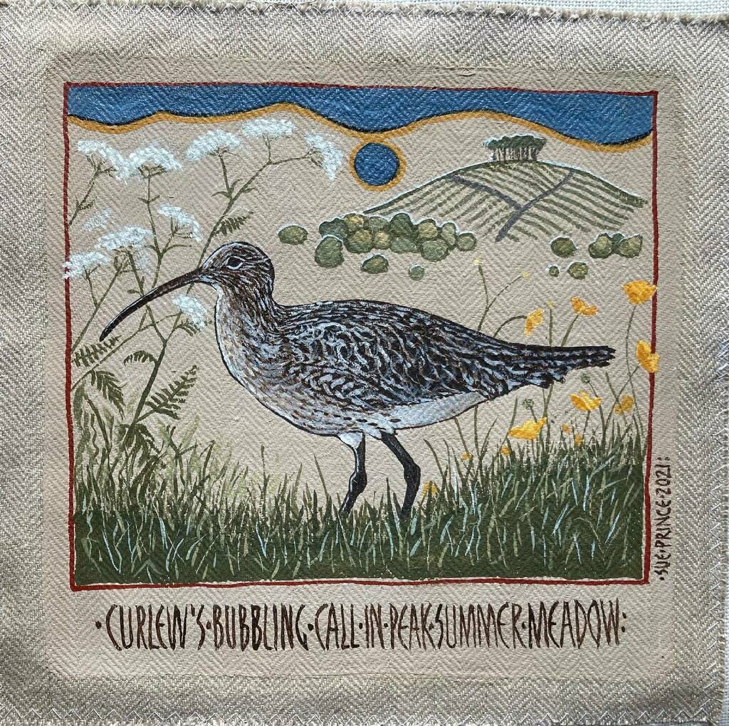 SuePrinceArtist's tweet photo. curlew’s bubbling call in Peak Summer meadow.  Latest small painting inspired by the gorgeous song I hear on my walks.
.
.
.
#curlew #curlewsofinstagram 
#doartslockdown #justacard #peakdistrictnationalpark #books #matchingpair #bookset #peakdistrictartisans #derbyshire #sta… https://t.co/9C4NRgWf9O