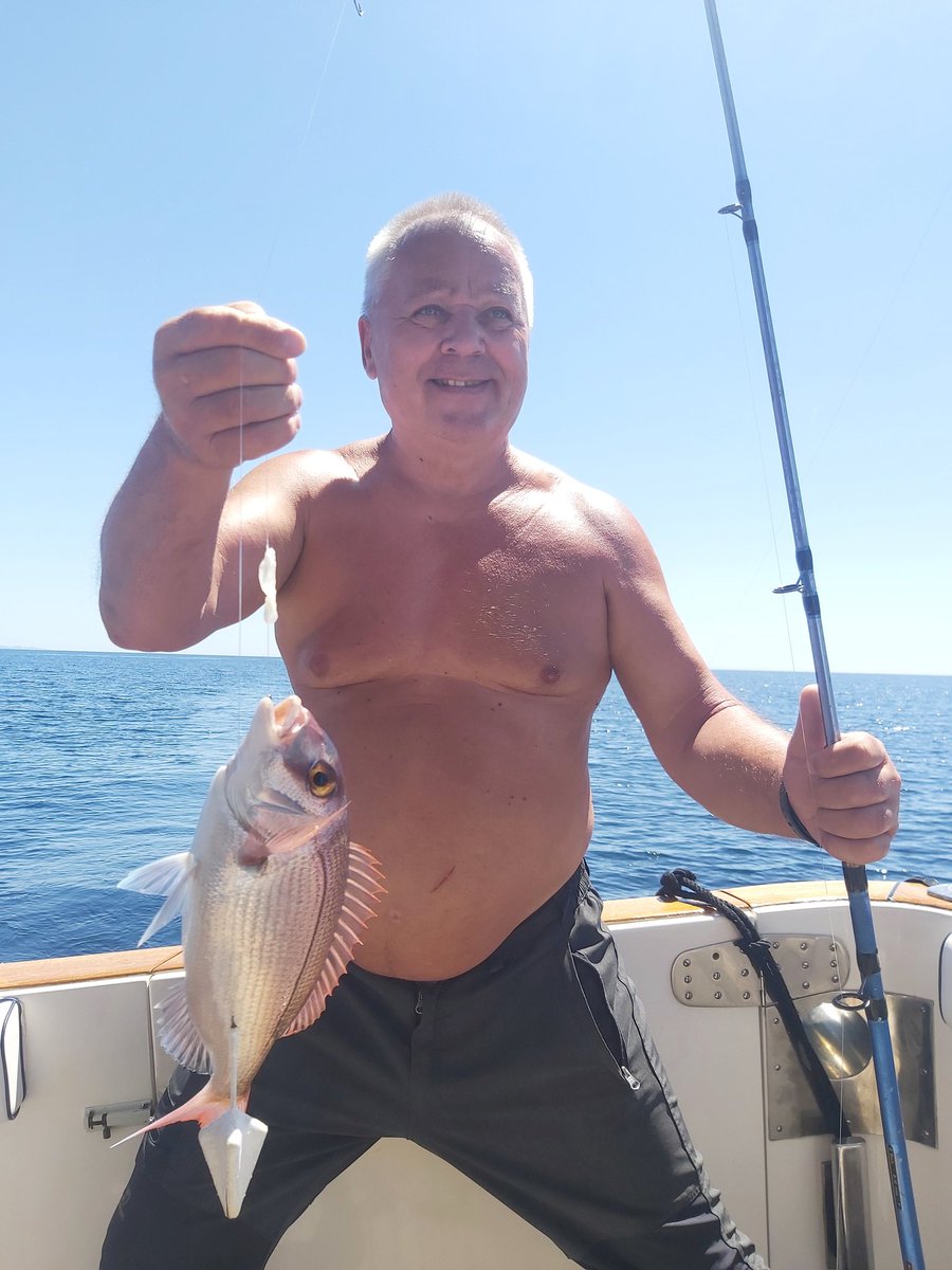 Marbella Boat Charter tweet media
