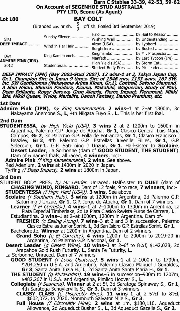 ピンクカメハメハ