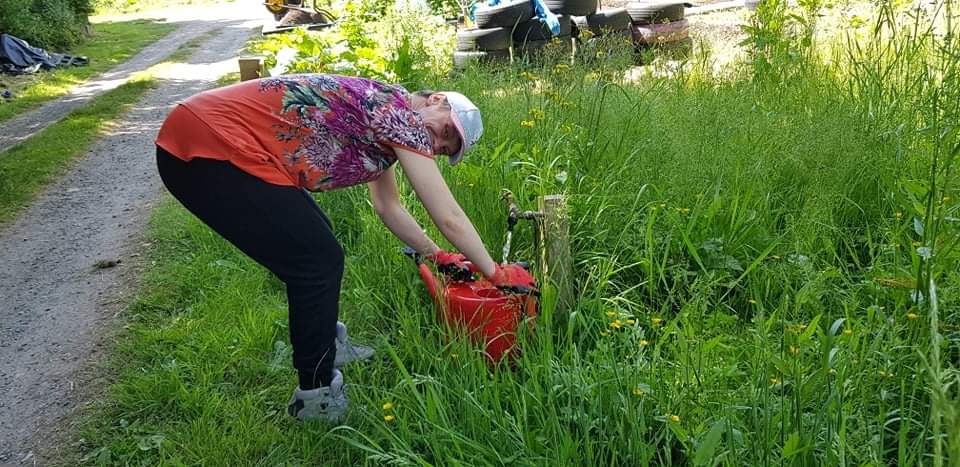 RainbowBizUK's tweet photo. It's a gorgeous day here in #Deeside and we are looking forward to another fabulous day on the allotment with #DiggingDeeside 🥰💚🌱🌻🌿🌾🐝🌞 Thanks for sending us some sunshine @Ruth_ITV 🥰 https://t.co/hFp5ln882F
