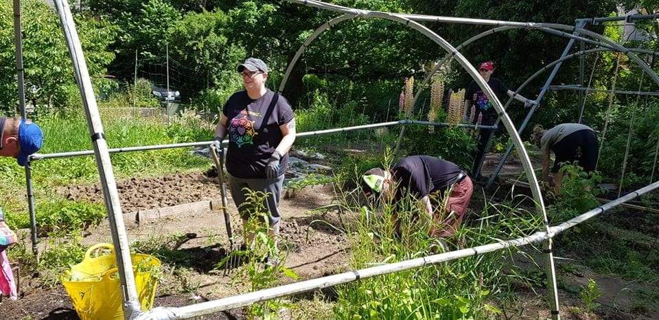 RainbowBizUK's tweet photo. It's a gorgeous day here in #Deeside and we are looking forward to another fabulous day on the allotment with #DiggingDeeside 🥰💚🌱🌻🌿🌾🐝🌞 Thanks for sending us some sunshine @Ruth_ITV 🥰 https://t.co/hFp5ln882F