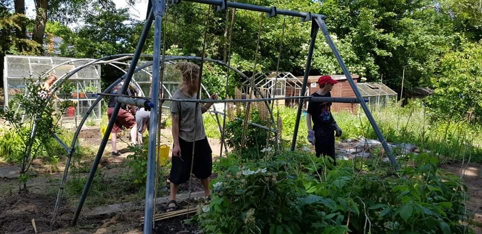 RainbowBizUK's tweet photo. It's a gorgeous day here in #Deeside and we are looking forward to another fabulous day on the allotment with #DiggingDeeside 🥰💚🌱🌻🌿🌾🐝🌞 Thanks for sending us some sunshine @Ruth_ITV 🥰 https://t.co/hFp5ln882F