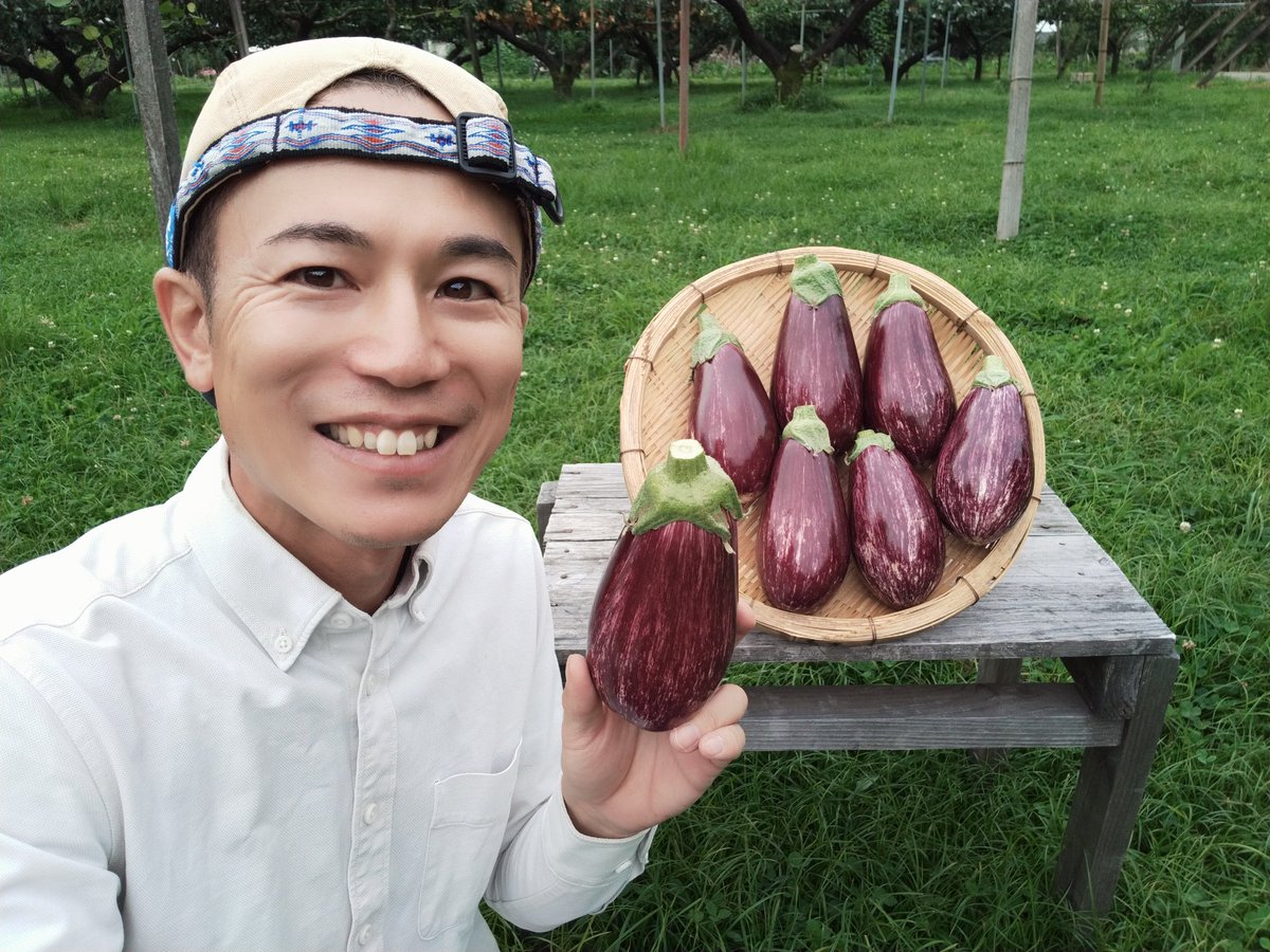 しゅうたの畑 ナスのオシャレ番長 縞むらさき 果肉が緻密でしっかりとした歯ごたえのある食感です 輪切りにしてナスのステーキなど簡単料理にも使えます 何より見た目がオシャレですよね 味だけでなく見た目も楽しめる今からが旬の食材になります