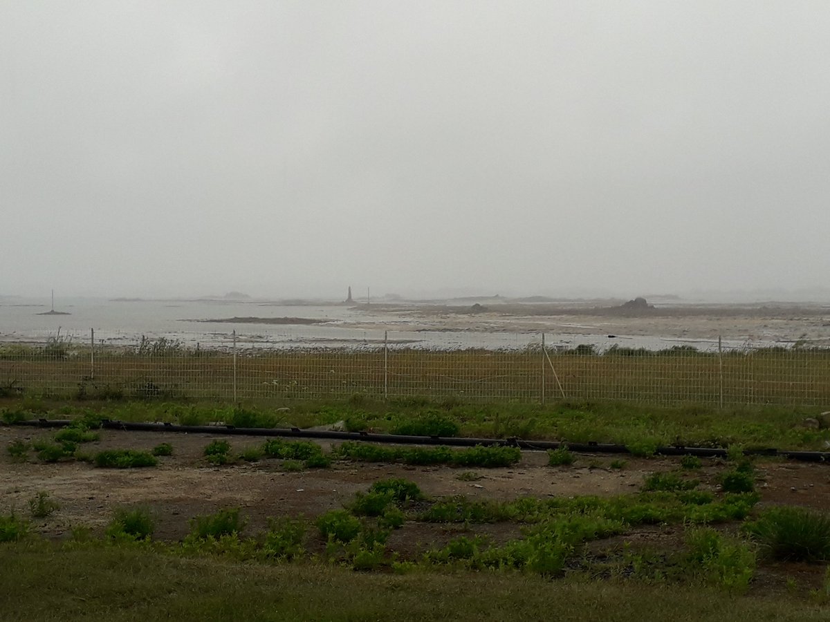 B_Rouille's tweet photo. 🚨📣 #COPIL #METHALGUES
Ou comment réduire les émissions de #méthane entérique chez la vache laitière avec des additifs à base d'algues... #UnderProcess
#pleubian #ceuxquifontlelait #FrAgTw https://t.co/QvYIiq8vHa