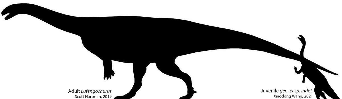 Claire Peyre de Fabrègues tweet media