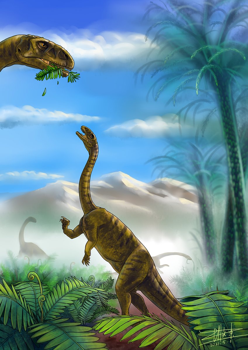 Claire Peyre de Fabrègues tweet media