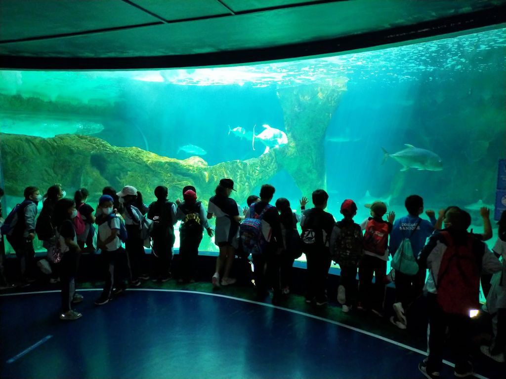 SanJoseTetuan's tweet photo. Los alumnos del primer ciclo de primaria despiden el curso visitando el zoo. ¡Lo han pasado fenomenal!
#colegiosanjosemadrid
#setumismoybrilla
#excursionfinaldecurso https://t.co/LQTHPqhQ40