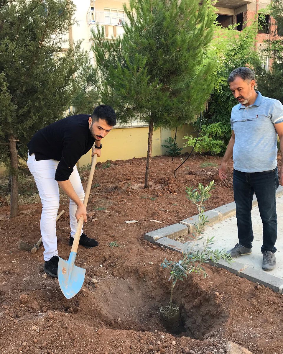 omerrusluu's tweet photo. Doğanın telafisini yapmaya çalıştık. 🍃☘️🍀🪴 @hsnSnmz27 @mgurler27 @AlkanIlkokulu @Cgnde @NizipilceMEM https://t.co/qddJfnDXdI