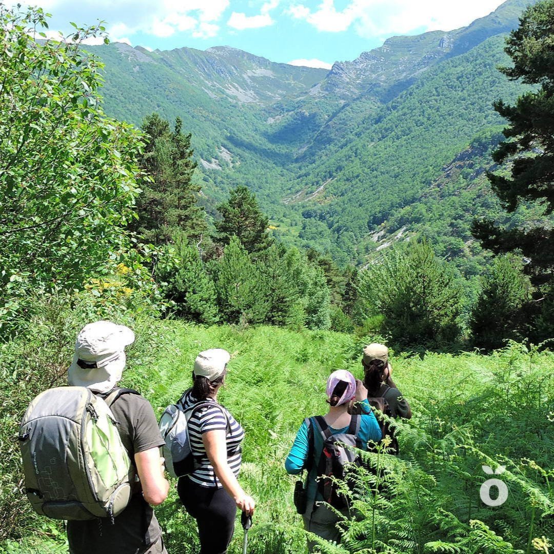 ecoturspain's tweet photo. 🏞Del 29 de septiembre al 3 de octubre te proponemos una #escapada a #FuentesdelNarcea, un espacio natural declarado #ParqueNatural y #ReservadelaBiosfera.
#MeVoydeEscapada #Ecoturismo365 #RedEcotur #Ecoagroturismo #FundacionEcoagroturismo #Ecoagrotours #ViveLaNaturaleza https://t.co/uGOnSGyqnR