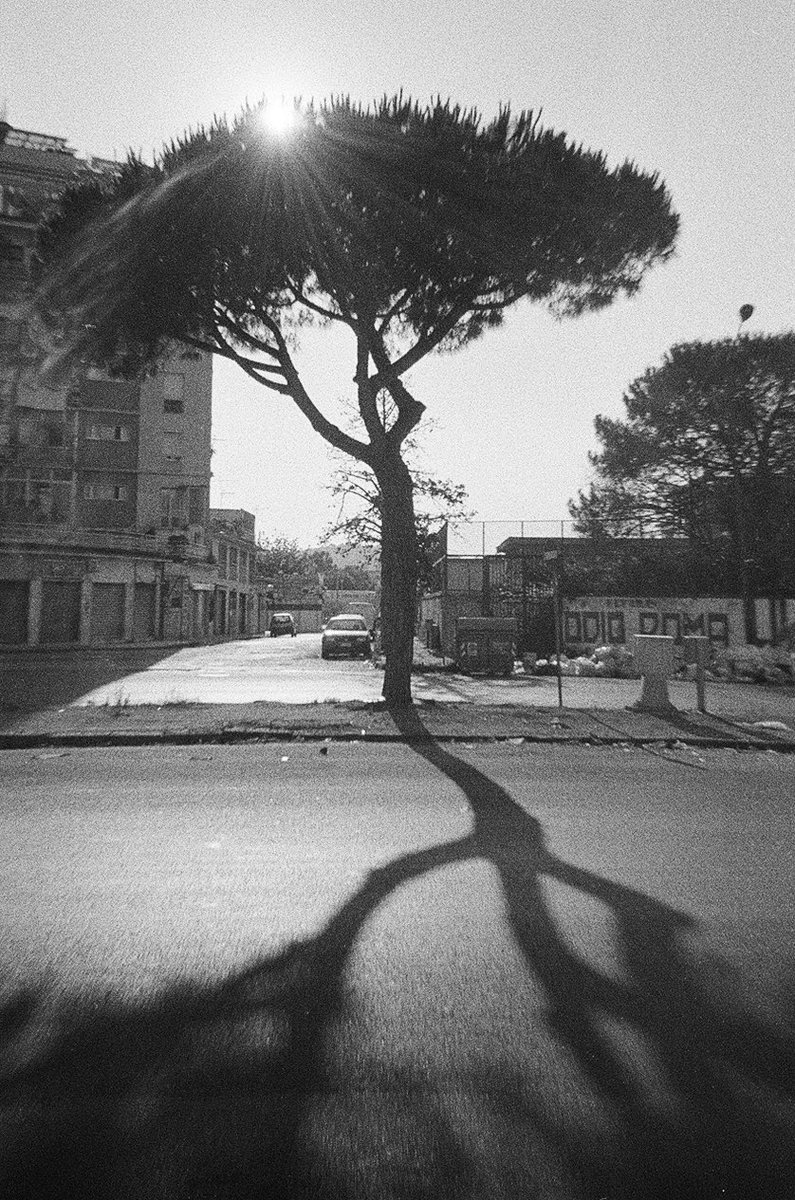 raffamuffin's tweet photo. Walking with the tiburon blanco…
#Filmisnotdead
#believeinfilm 
#urbanphotography 
#Pointandshoot
#agfacamera
#pancro400 https://t.co/89Xnl0ij6L