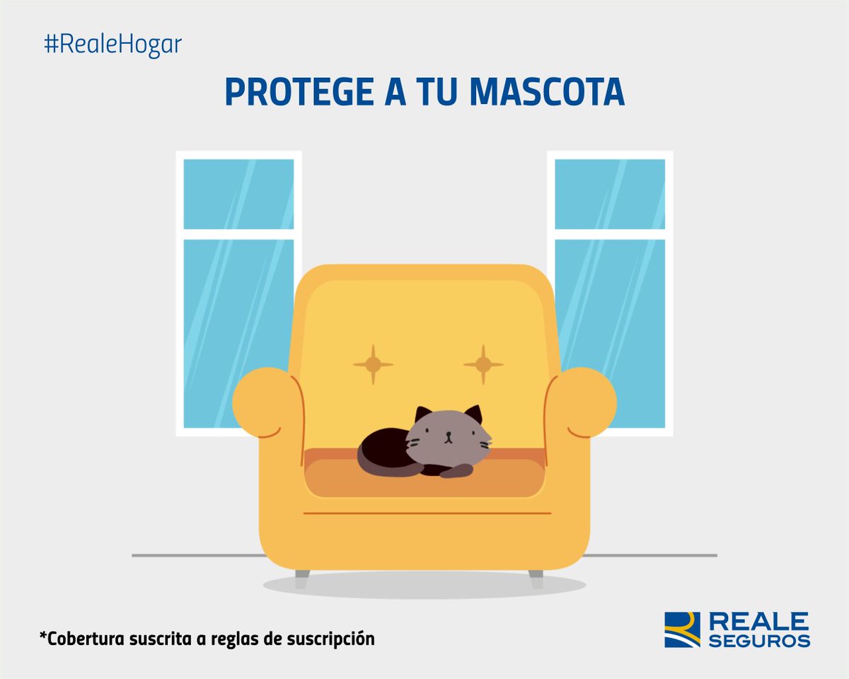 reale_agencia's tweet photo. RESPONSABILIDAD #PerroGato, Tu amigo Canino o felino, es tu Responsabilidad, que no te pille sin estar protegido.
Consulta a tu #mediador sobre la inclusión de tu #mascota en tu seguro de casa #RealeHogar ➡️ https://t.co/AvtAK0S95z https://t.co/ZlsUJvcZHS