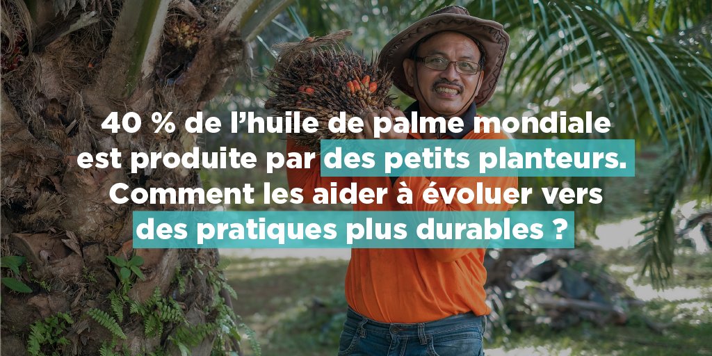 Les petits planteurs sont-ils les laissés-pour-compte de la filière huile de palme ? Zoom sur les initiatives de terrain pour soutenir ces petits exploitants dans l’amélioration de leurs pratiques tout en favorisant leur développement économique. 👇
alliance-preservation-forets.org/app/uploads/20…