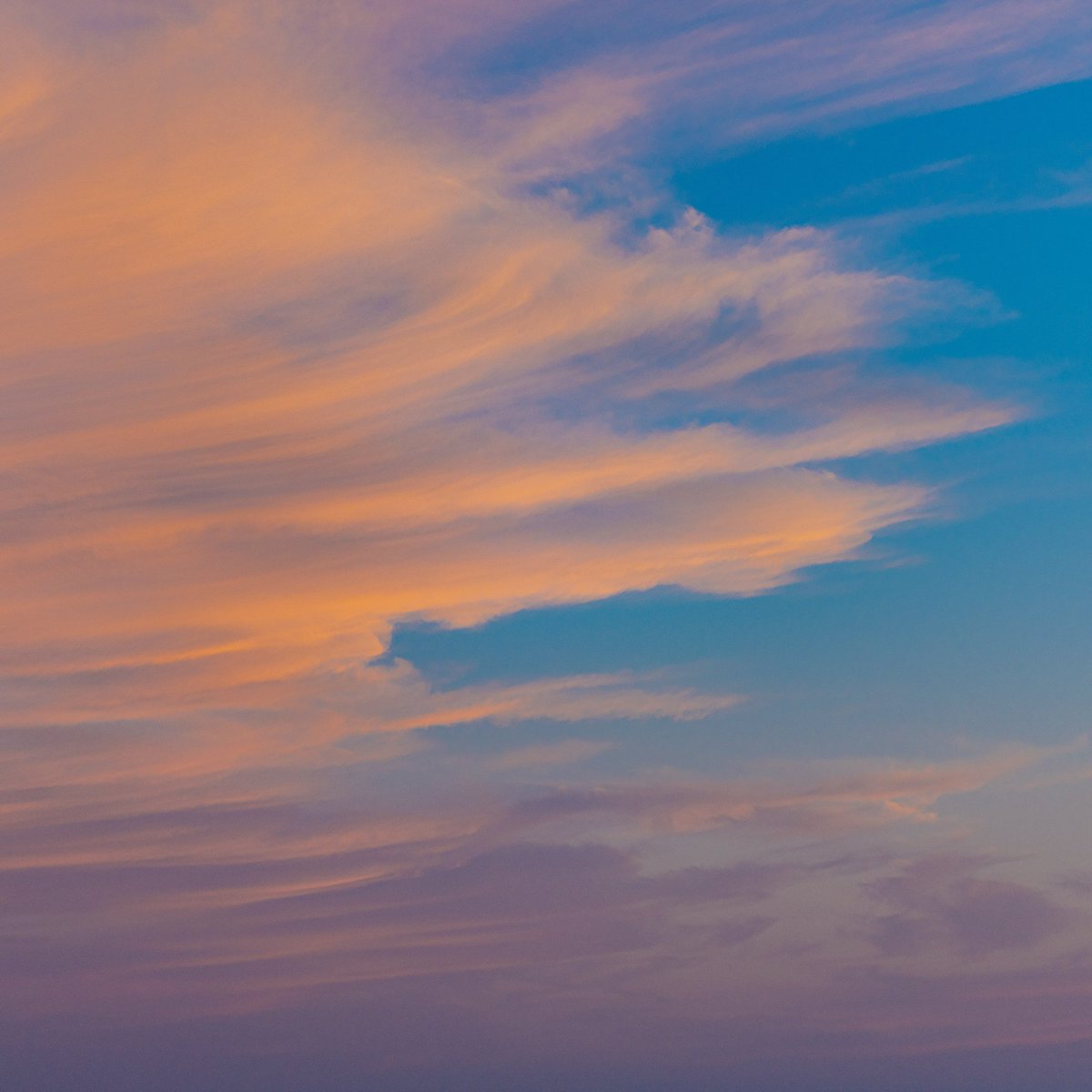 __2Days's tweet photo. Written in the sky

#writteninthesky
#nftart #nftartist #NFTCommunity #NFTs #nftcollectors #NFTphotographers #nftphotography #cloud #sky #sunset https://t.co/OhlRWFpR2B