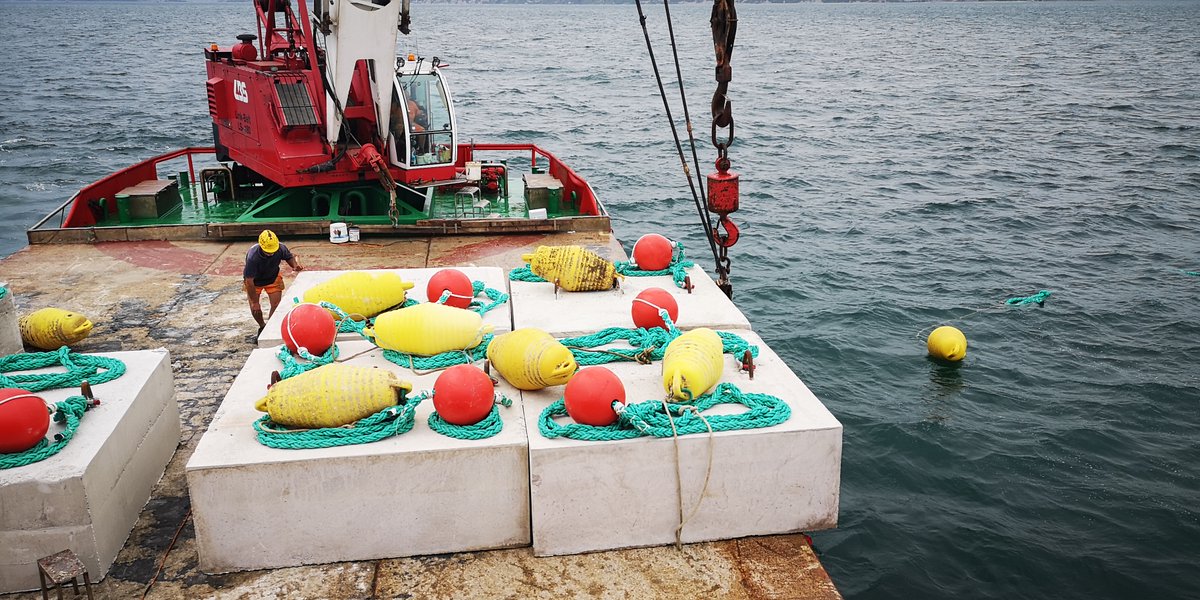 Fabriz_Car's tweet photo. After the vaccine, here we are back on the #field! Using real time #GIS and #GPS technologies to deploy  anchors for #musselfarming in the #Adriaticsea. GIS combined with #satellitedata are crucial to establish and monitor #aquaculture off-shore farms! @FabioMassa1 @SvannuFAO https://t.co/iSK3t41I7d