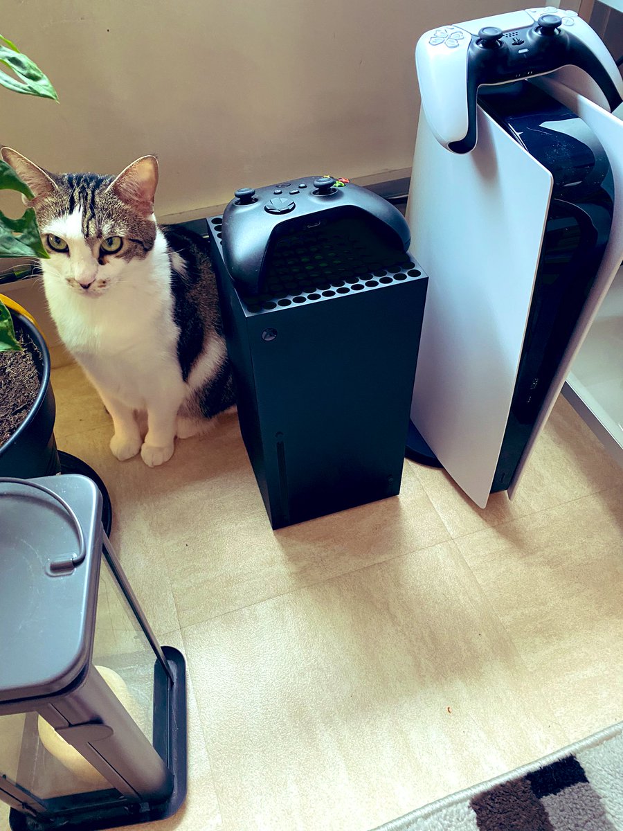 KevinBouchere's tweet photo. Merci @Dealabs les 3 la même semaine! drop boulanger et https://t.co/yVMLh7sSrj #ps5 #XboxSeriesX  #catgamer https://t.co/PibVKqfIJZ
