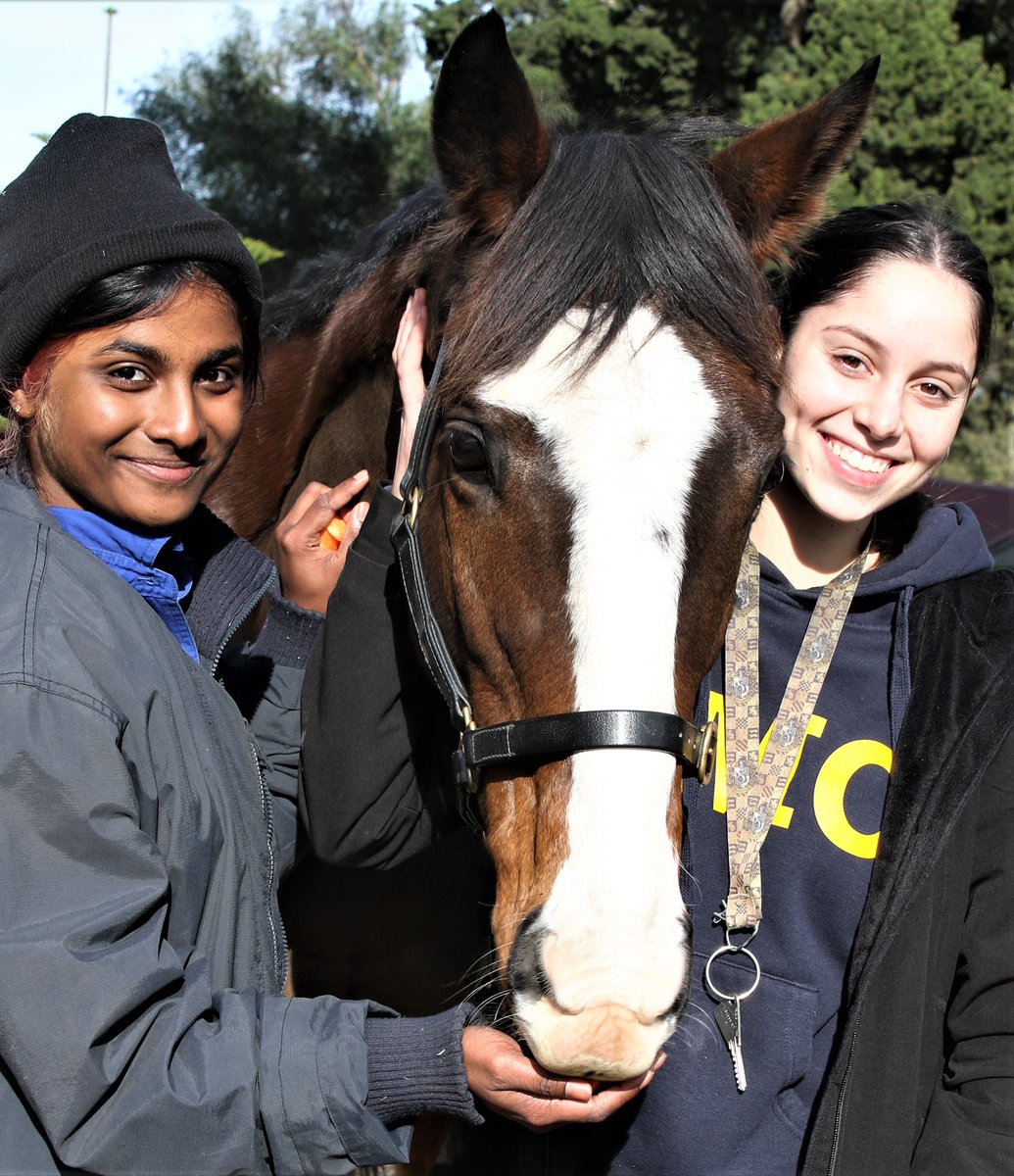 LivingLegendsAU's tweet photo. Continuing #LoveTheHorse month, with University holidays underway we welcome back our #LearningWithLegends undergraduate students from across Australia.

Lots of opportunities to love and learn from our legends in their equine industry placement within their degrees.
#OTIRacing https://t.co/5zVqanpk4C