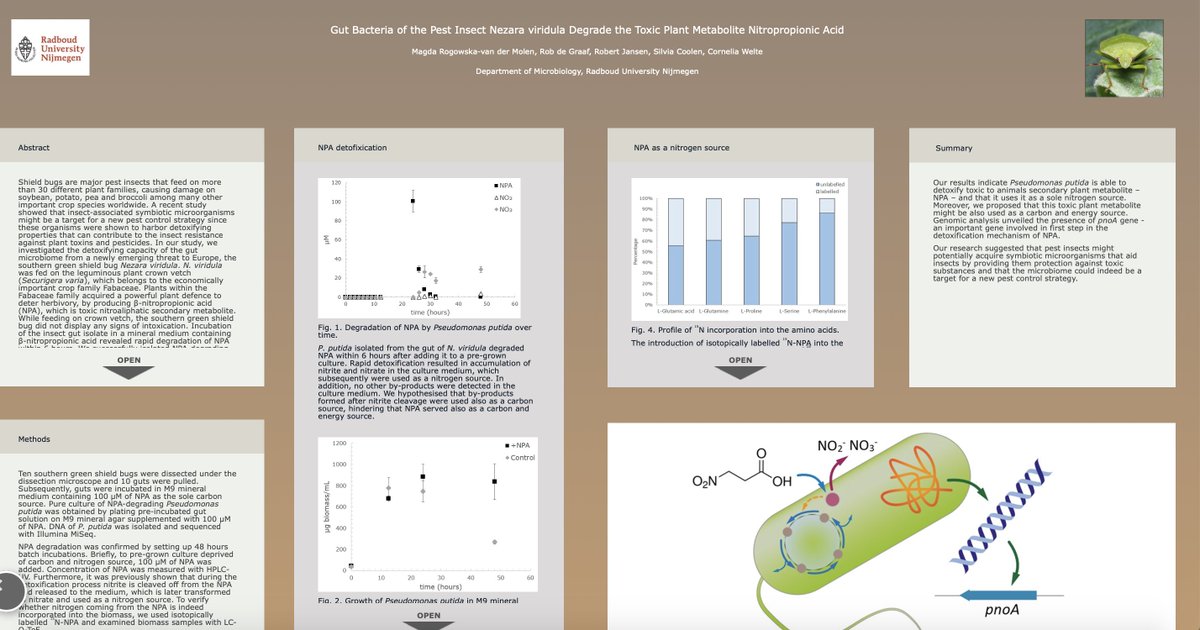 msmjetten's tweet photo. Please do visits the iposter of @MagdaRogowska @CUWelte et al #microbiology @Radboud_Uni on Gut #Bacteria of the Pest Insect #Nezara viridula Degrade the Toxic Plant Metabolite #Nitropropionic Acid #worldmicrobeforum host microbe interaction #shieldbug https://t.co/AFB8K7c7WJ https://t.co/vYIsDwlkcZ