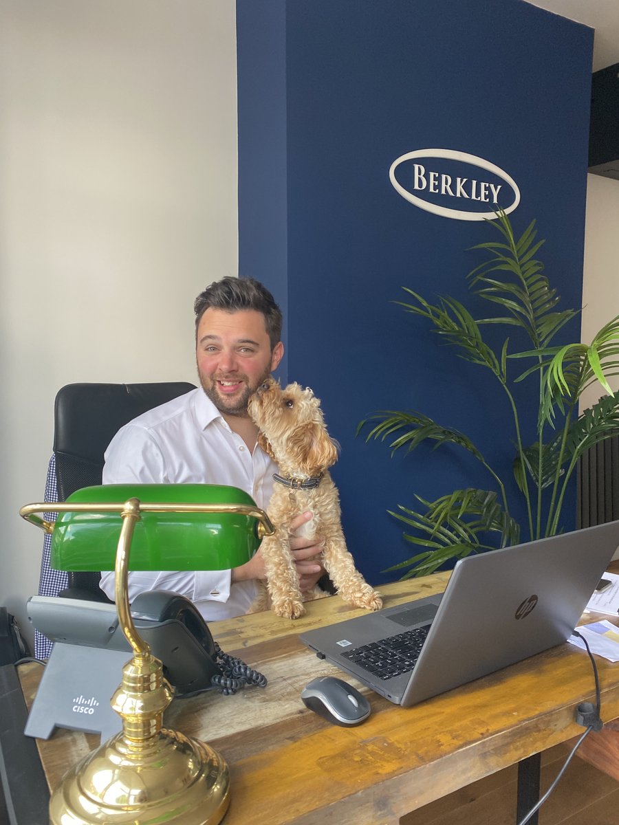berkleyestates's tweet photo. 🐶 Special Guest 🐶

We have a very special guest helping out with our sales and lettings teams this week... meet Teddy! 

If you want to find your pawfect home visit https://t.co/lIQmSMCzS2 

#leicestershire #dog #ukproperty https://t.co/pk9DXfMJ09