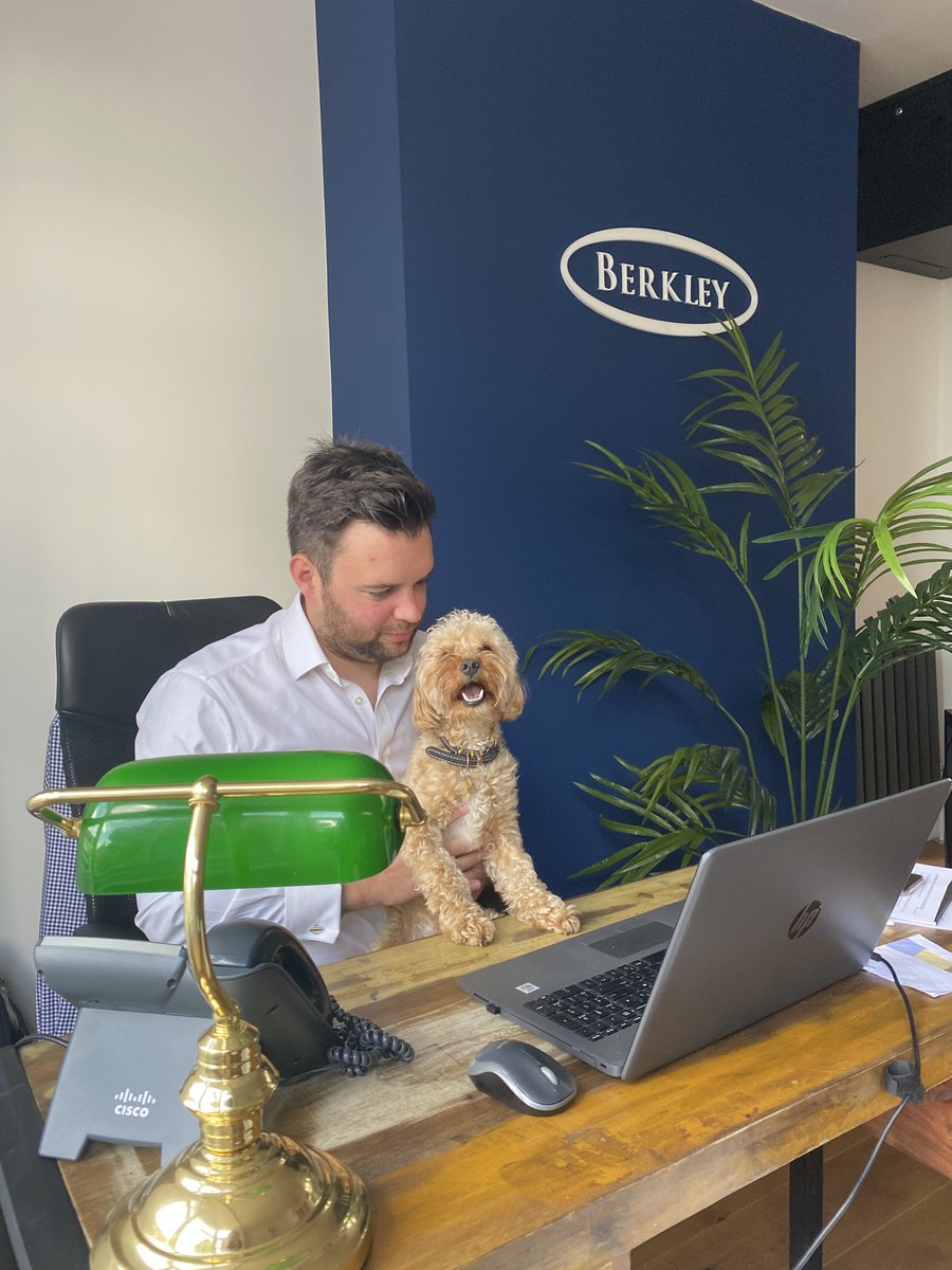 berkleyestates's tweet photo. 🐶 Special Guest 🐶

We have a very special guest helping out with our sales and lettings teams this week... meet Teddy! 

If you want to find your pawfect home visit https://t.co/lIQmSMCzS2 

#leicestershire #dog #ukproperty https://t.co/pk9DXfMJ09