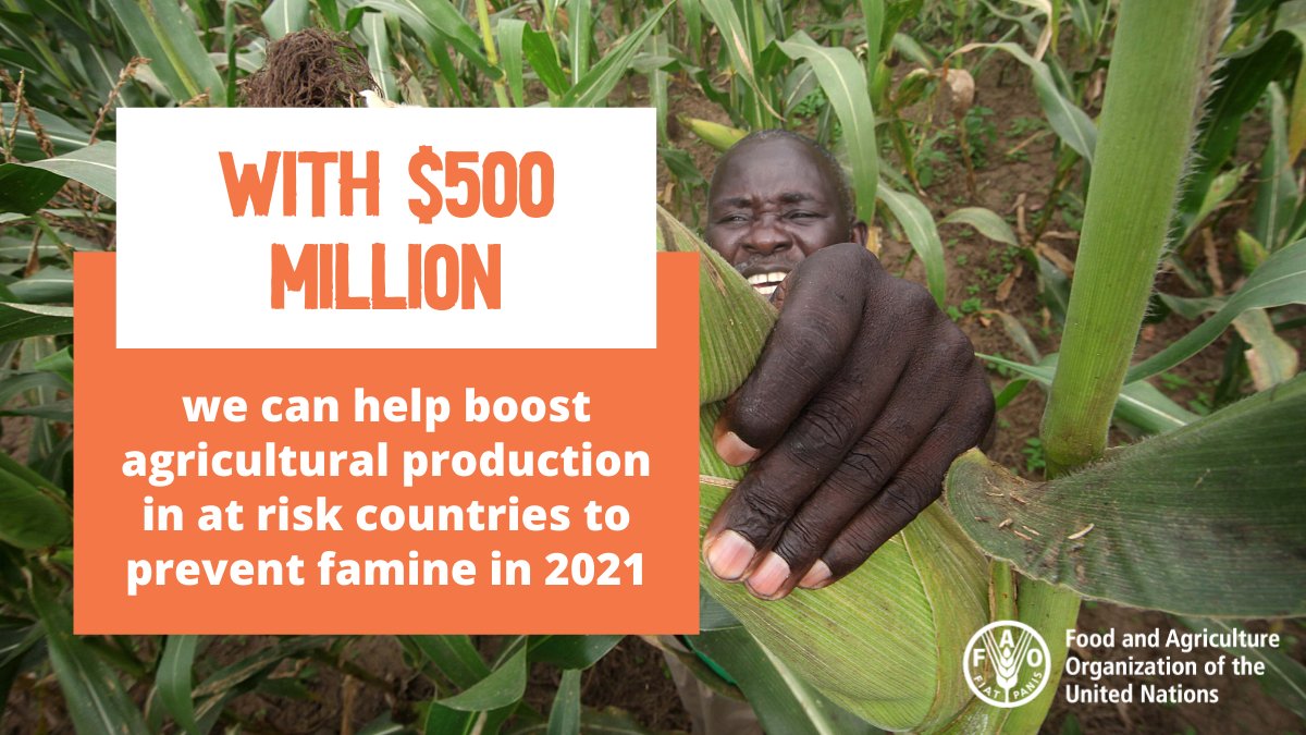 FAOemergencies's tweet photo. In 2021, the world faces an elevated risk of famine.
 
@FAO and @WFP are urgently seeking new funding to scale up humanitarian response.
 
Find out how FAO plans to help people produce food for themselves and safeguard livelihoods: https://t.co/iP13wxnm0v #FightFamine https://t.co/P25NlcEGHd