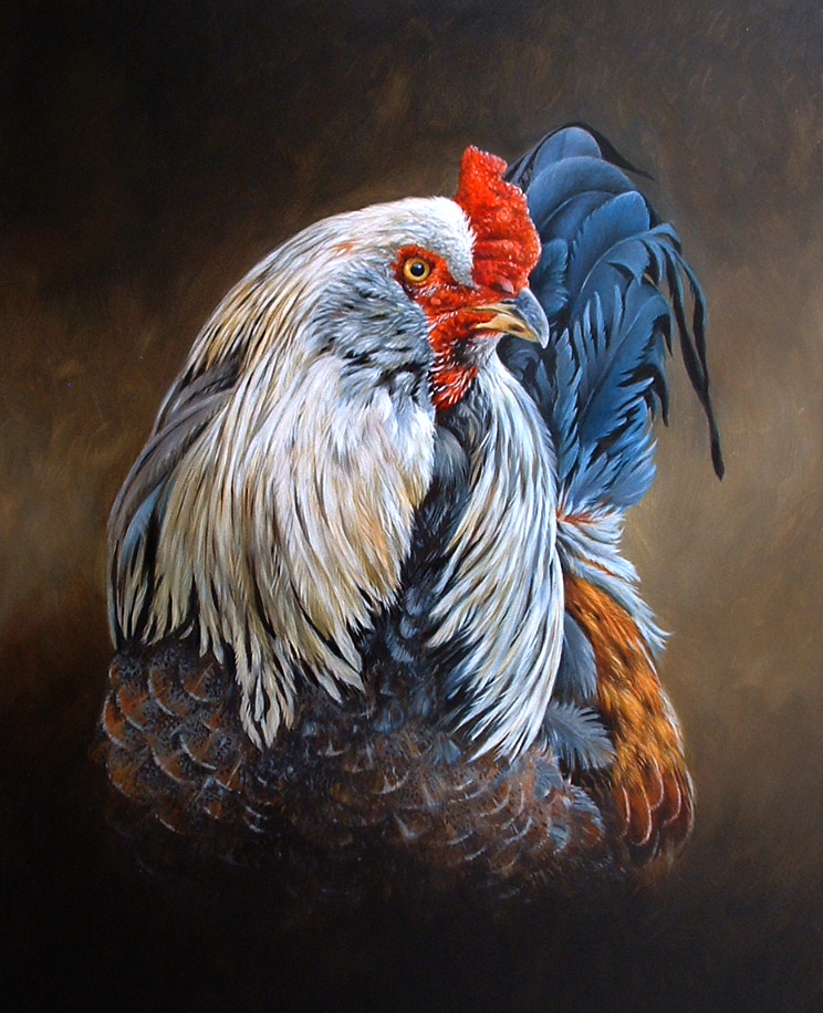 john_wildlife's tweet photo. Poultry https://t.co/bVKGpDHYZr