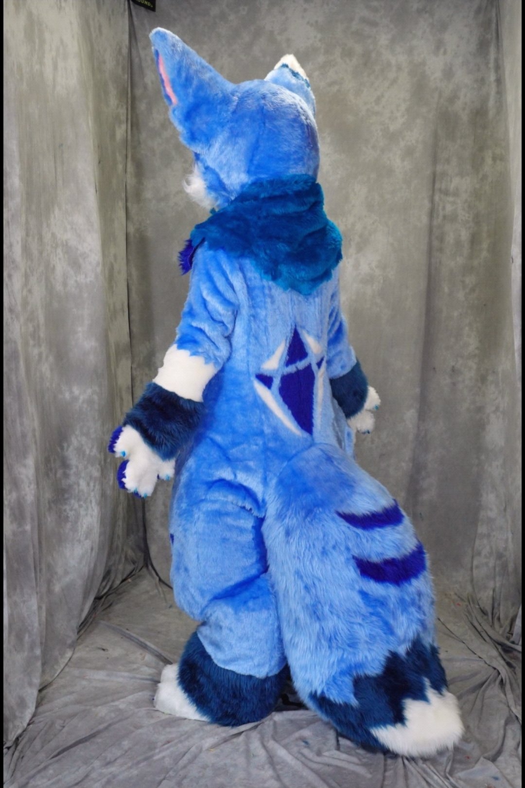 金剛石 ダイヤモンド 新しい子供の誕生日 皆さん こんにちは 僕の名前はダイヤモンドです 黒猫ねろから来た鉱石獣家族 種族 キツネ さまざまな綺麗な宝石水晶が好きで 性格は恥ずかしがり屋で 友達を作ることが好きですが 人見知りの矛盾