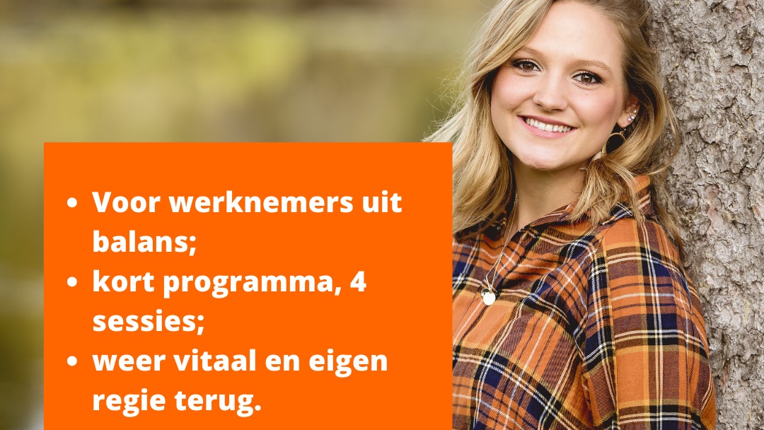 BoFit tweet media
