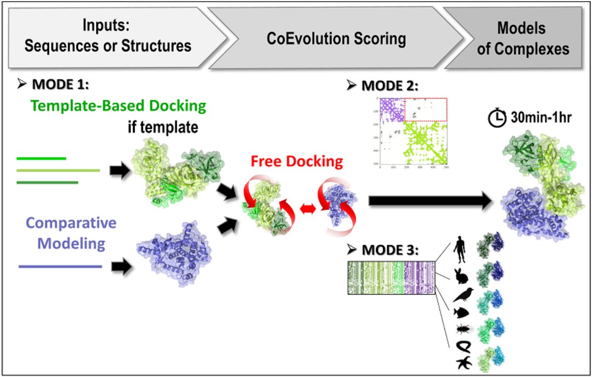 Jessica Andreani Jessica Compbio Twitter