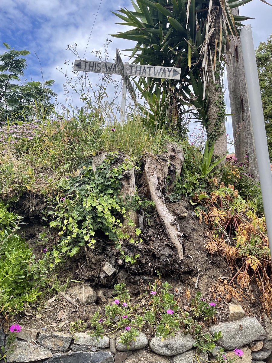 GuernseyWander's tweet photo. ‘’How not to get lost in Guernsey’’ follow the signposts. https://t.co/NuhcPU2F8y
