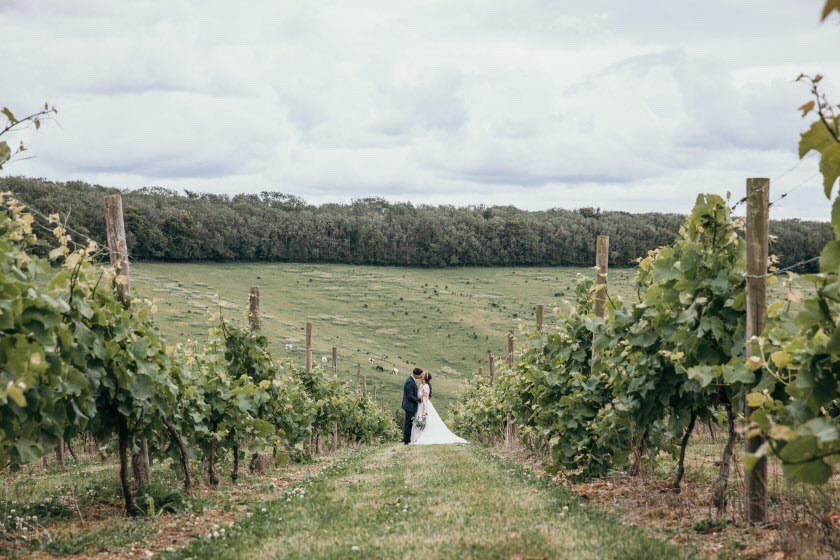 YorkshireWT's tweet photo. 🍇🥂🍇 STOP 2: @marketplacefarm (Little Wold Vineyard) 🍇🥂🍇

Based in South Cave, East Yorkshire. Little Wold hosts the most beautiful weddings, tastings, tours and picnics 

Check their website here 
https://t.co/9lebt6XW4o

#YorkshireWineTrail #Yorkshire https://t.co/YbBXffj06i