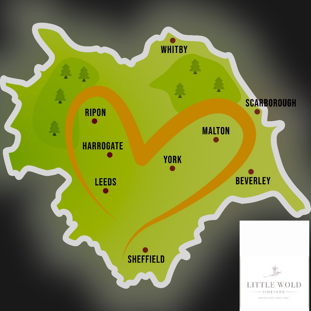 YorkshireWT's tweet photo. 🍇🥂🍇 STOP 2: @marketplacefarm (Little Wold Vineyard) 🍇🥂🍇

Based in South Cave, East Yorkshire. Little Wold hosts the most beautiful weddings, tastings, tours and picnics 

Check their website here 
https://t.co/9lebt6XW4o

#YorkshireWineTrail #Yorkshire https://t.co/YbBXffj06i