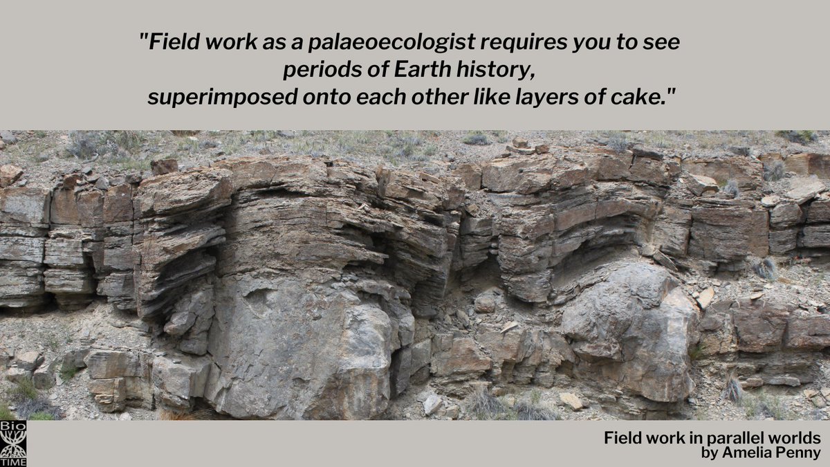 📖 Have you read our StoryTIME entry on fieldwork as a palaeoecologist?

You can find it here👉 biotime.st-andrews.ac.uk/storytimeStori…

And if you have a story to tell, get in touch!
