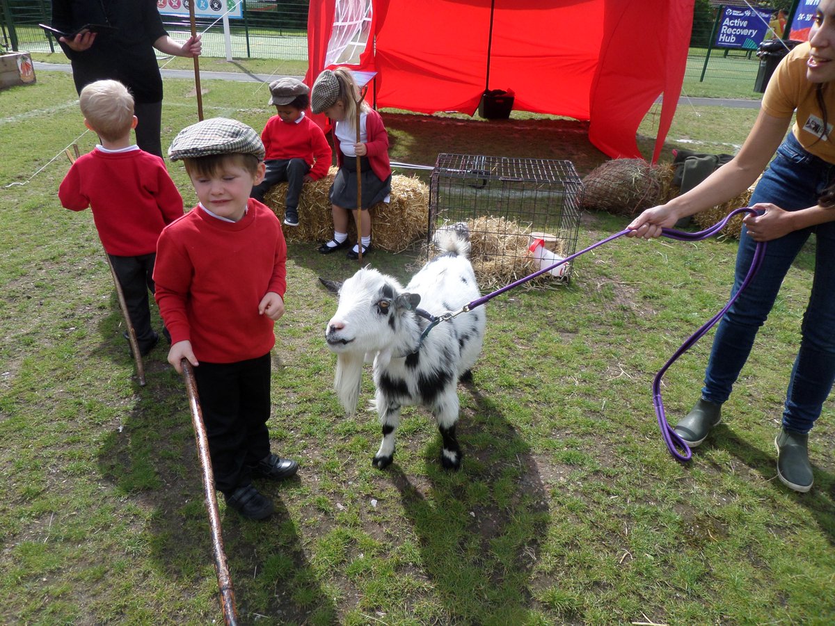 StGilesPrimary's tweet photo. We're having a great morning with Southfields Farm @FFLWalsall ! https://t.co/6pacZd0S6c