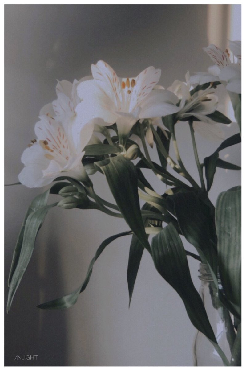 โนโๅค๐ธโโบ tweet media