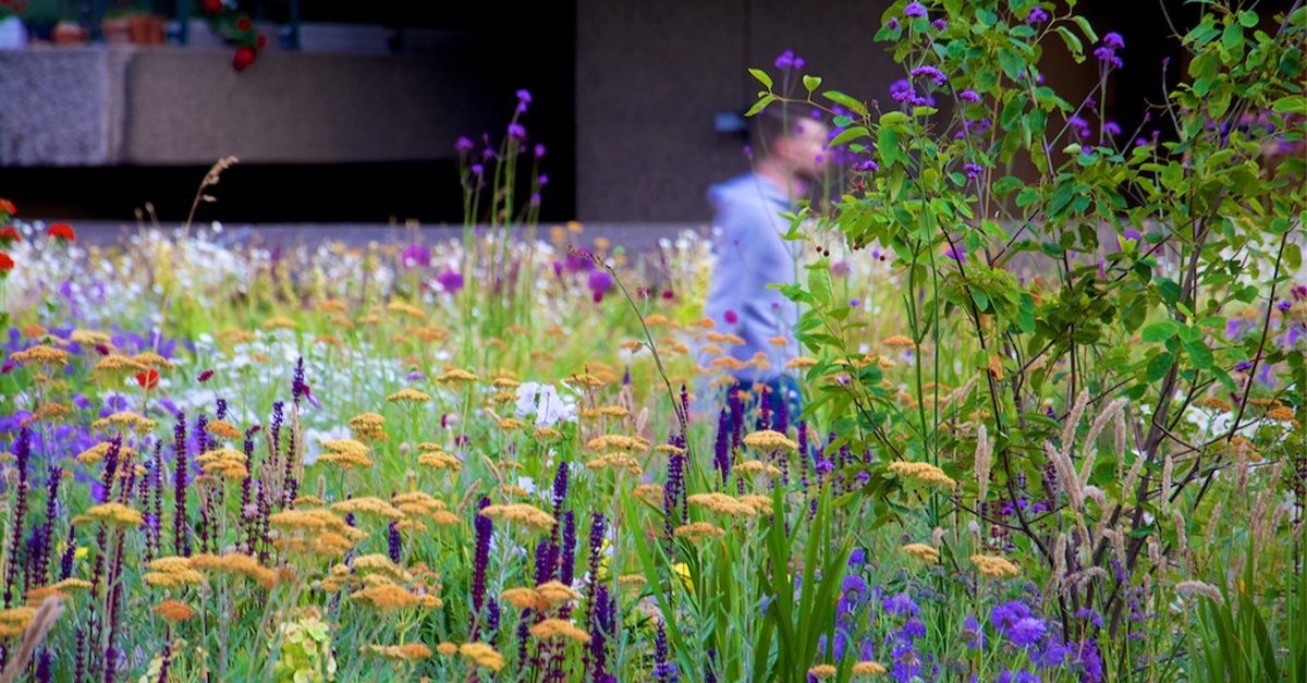 Tune in a webinar organised by @atkinsglobal tomorrow at 4pm, to learn what role designers have with regard to  public spaces. The discussion will consider the care of public areas and how good design can help us adapt to change and resolve conflicts. 👉 bit.ly/3gGYJfV