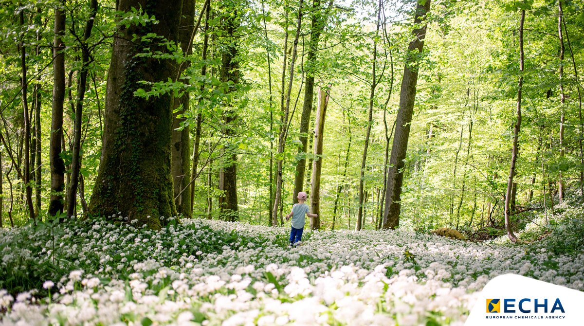 EU_ECHA's tweet photo. Any questions about persistent organic pollutants (POPs)? In addition to some general information, we have updated our Q&amp;A section for POPs with specific answers related to PFOA, PFOS and PBDEs.
🔗https://t.co/Ra86OjSc1V

#SaferChemicals https://t.co/zX7lUpXgpN