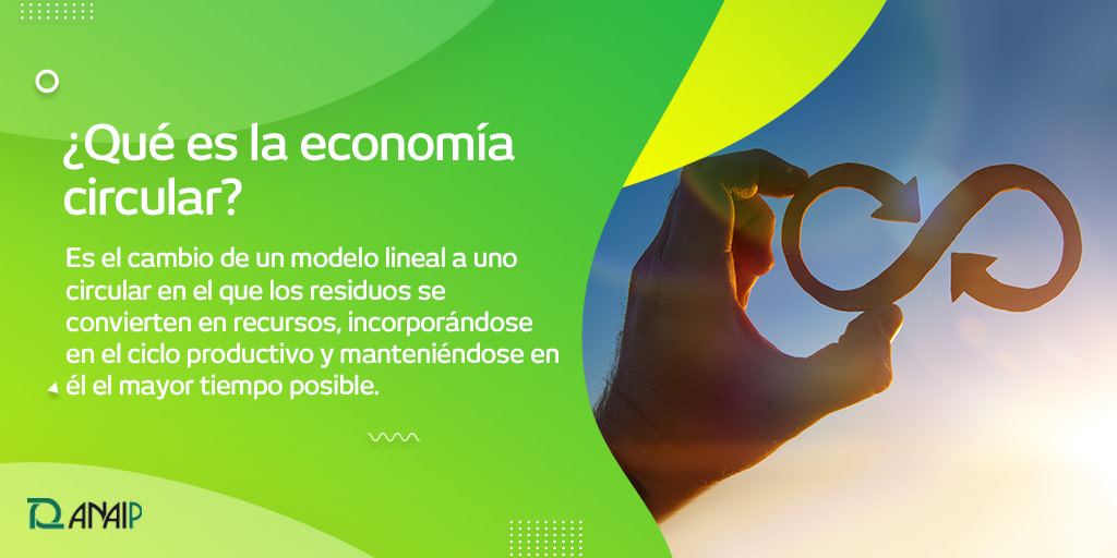 ANAIP_es's tweet photo. Se habla muchísimo sobre la economía circular, pero ¿sabes exactamente qué significa?
¡Te lo explicamos! ♻️ #TipsANAIP #EconomíaCircular #FormaciónANAIP https://t.co/A7tWX3Md8X