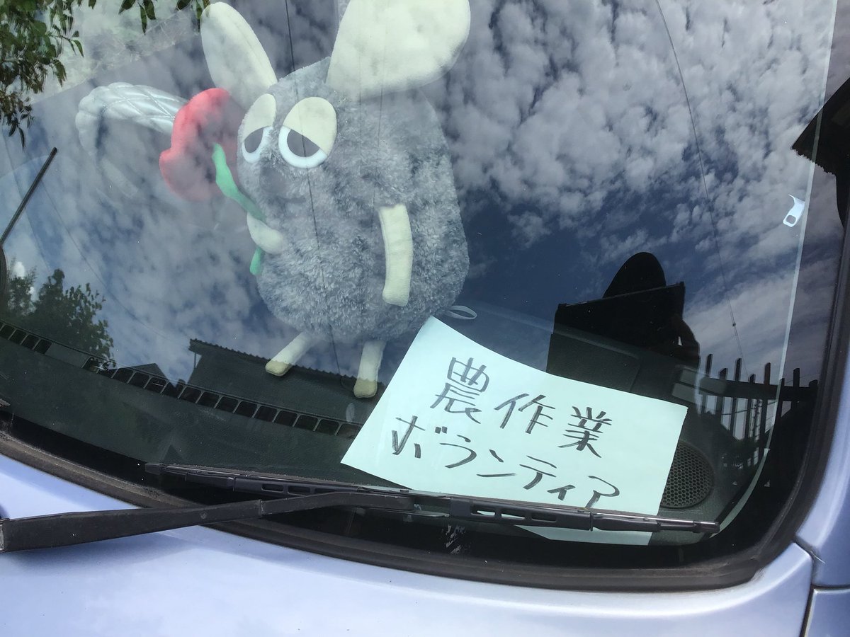 nogyotora's tweet photo. 2年ぶり！ https://t.co/ujWth29nIG