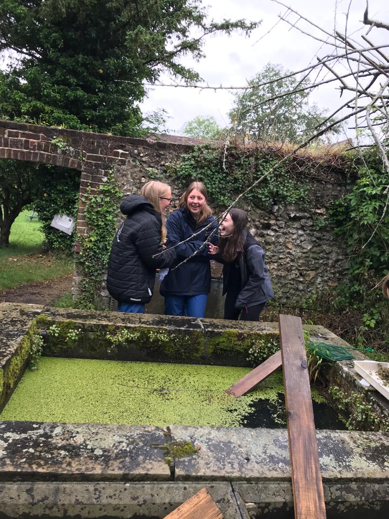 QueenswoodSTEM's tweet photo. Sampling snails with snail varnish 🐌 #markreleaserecapture #enrichment2021 #aqabiology #fieldtrip https://t.co/4ODqRS1VR4