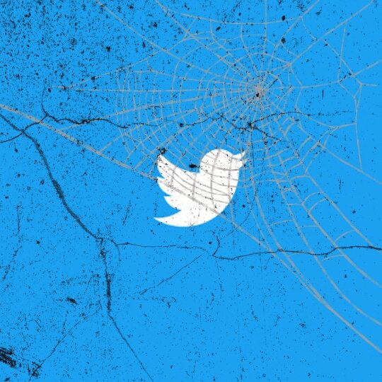 liya tweet media