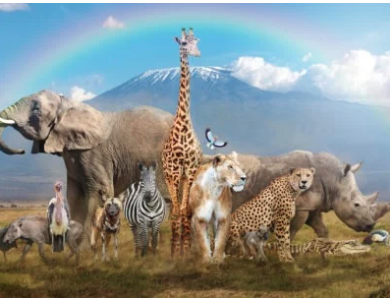 Eric_Haworth's tweet photo. This weeks theme is all about animals  - lots of songs on the topic plus a quiz so please join us. 

Join us 10.30 - 11.30 am Thursday 24th June.

Join Zoom Meeting
https://t.co/4v1sACLVTa
Meeting ID: 649 261 0072 https://t.co/iUMEWW9CYY