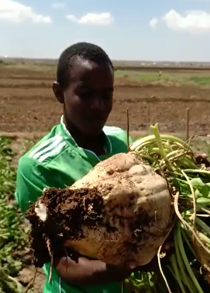 irdafrica_Kenya's tweet image. You are doing great.  They are welcome to irdafrica.com for additional insights outside the box #KCSAP