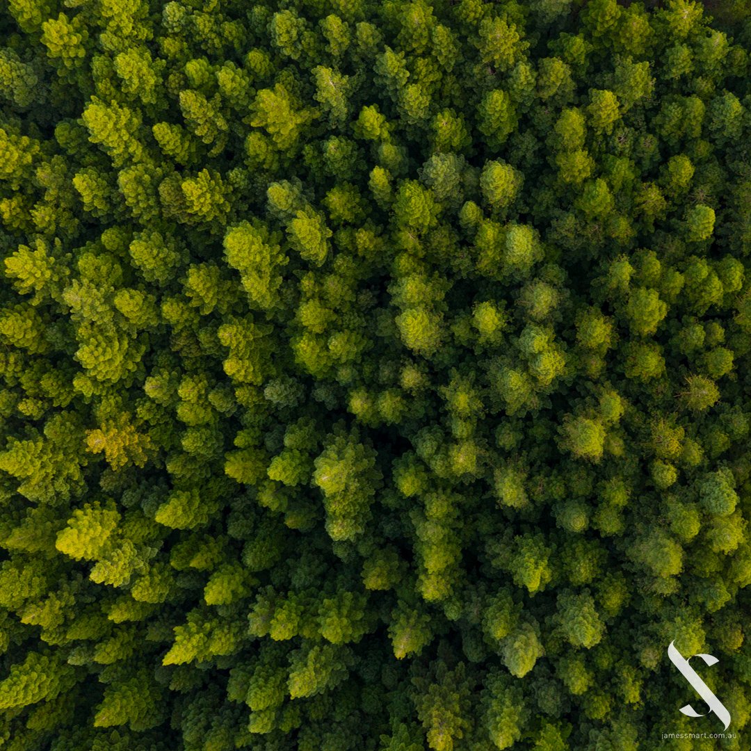 Above the Redwoods.
#aerialphotography #travel #nature #redwoodtrees
