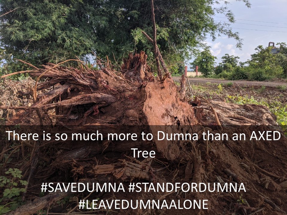 devprof's tweet image. हम जान आंदोलन हैं हम चाहते हैं खंदारी जलाशय दूषित ना हो ? क्या आपसे हो पायेगा ?  

EPCO report (2015) included in its proposal a plan to undertake intensive plantation in the entire catchment area.

DUMNA NATIONAL PARK