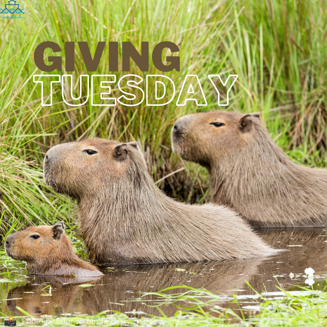 The Frozen Ark Project tweet media