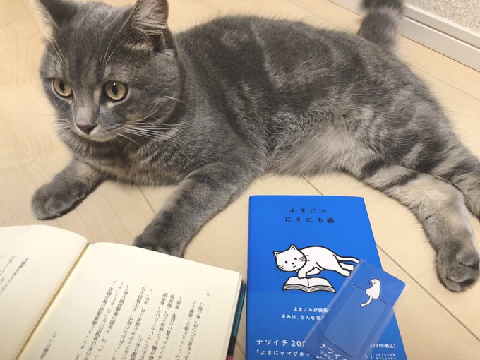 よまにゃのtwitterイラスト検索結果 よまにゃのtwitterイラスト検索結果