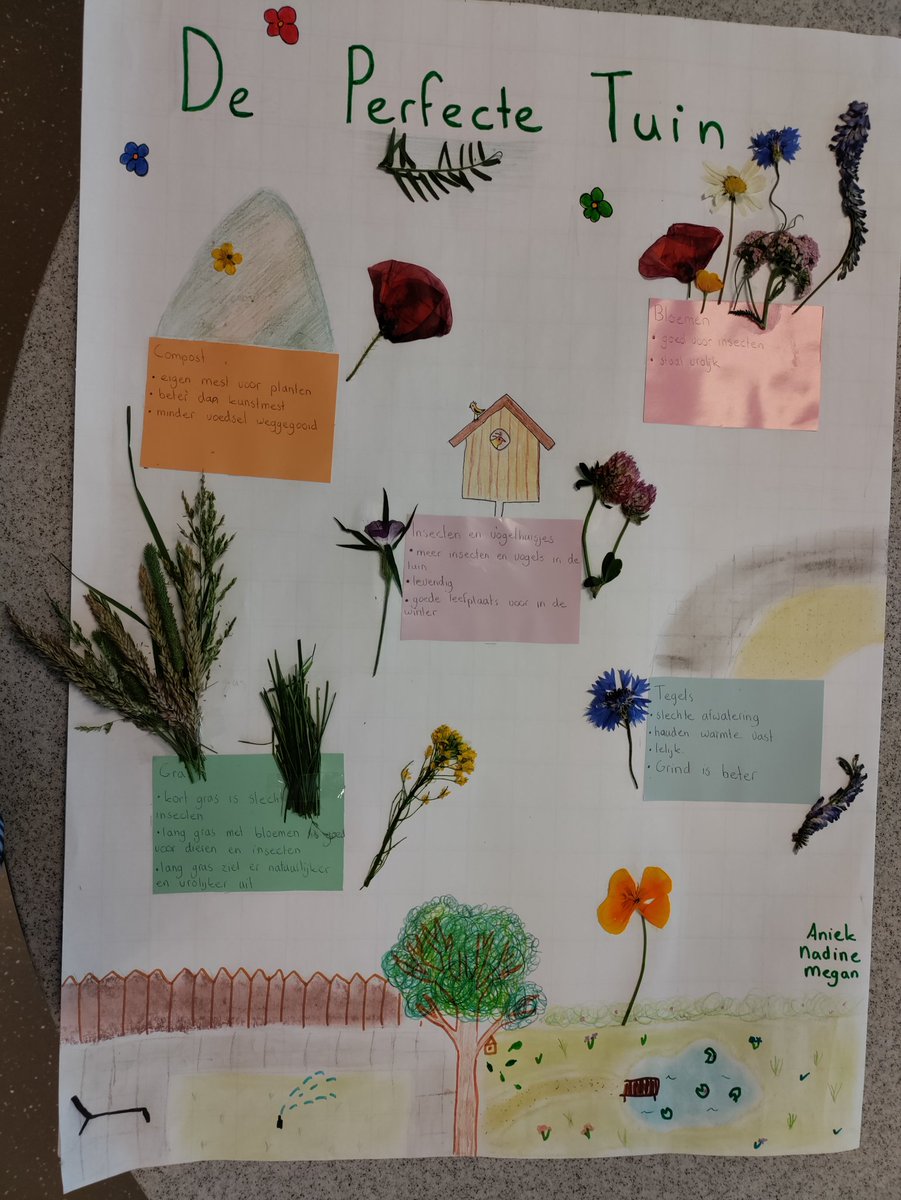 Irene Bos tweet media